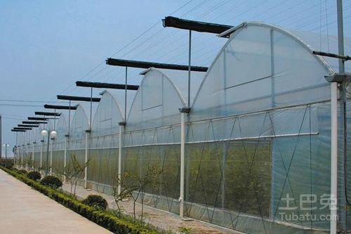匠心筑夢，花開滿棚——優(yōu)質花卉鋼架大棚廠家推薦指南